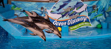 SeaWorld Tour
